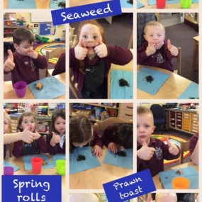 Class 1 Food tasting activity 