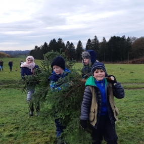 Christmas Tree walk